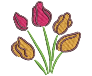 0-kw3250-tulipan