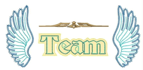 0-team35L