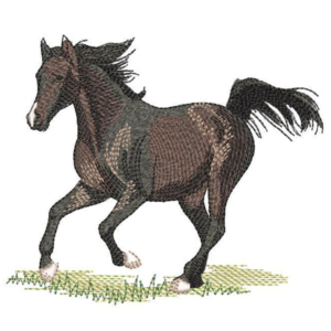 Koń