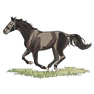 Koń